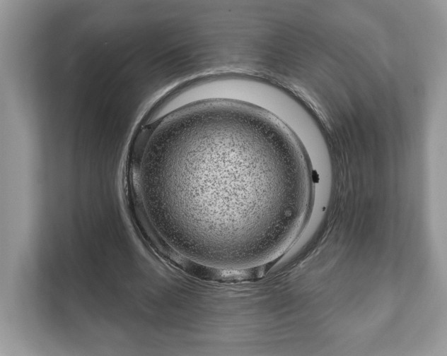 X0000111870536200907301118