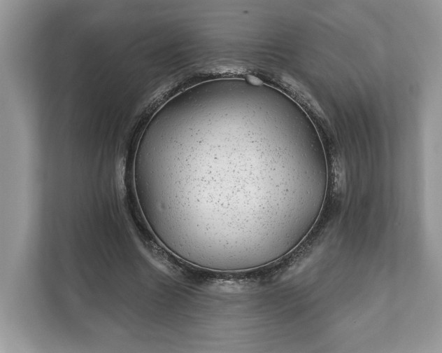 X0000111870538200907301118