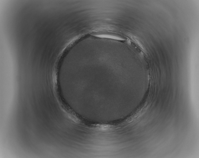 X0000111870539200907301118