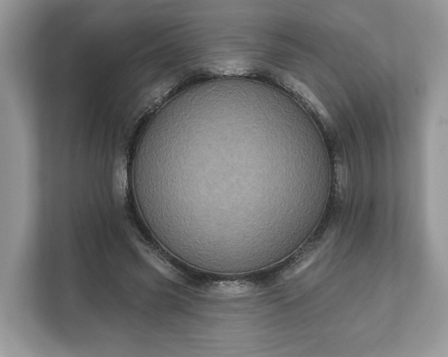 X0000111870541200907301118