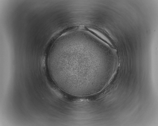 X0000111870543200907301118