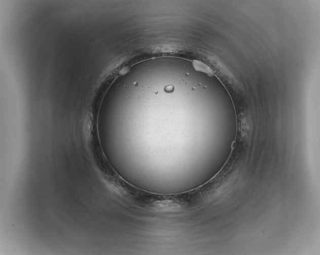 X0000111870544200907301118