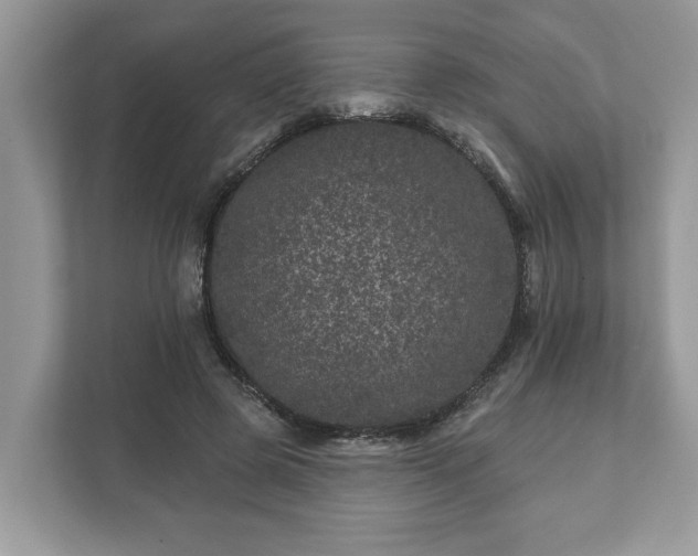 X0000111870545200907301118