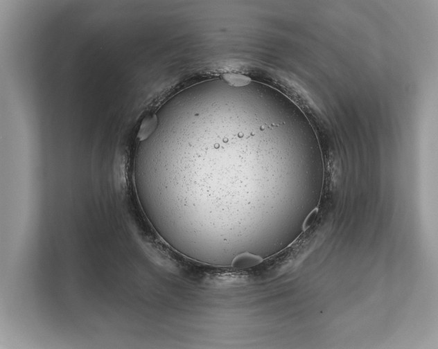 X0000111870546200907301118