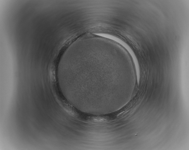 X0000111870547200907301118