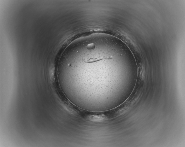 X0000111870548200907301118