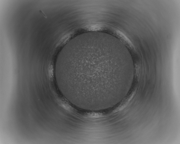 X0000111870549200907301118