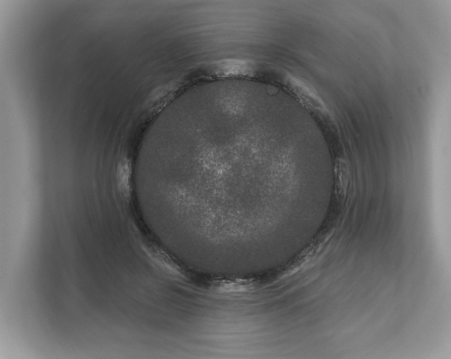 X0000111870550200907301118