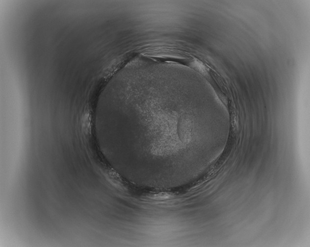 X0000111870551200907301118