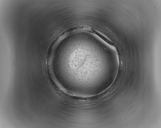 X0000111870552200907301118