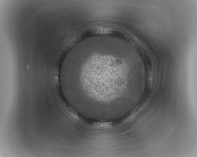 X0000111870553200907301118