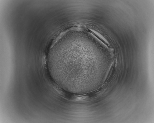 X0000111870555200907301119