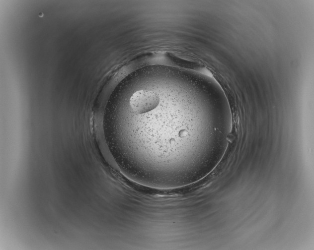 X0000111870556200907301119