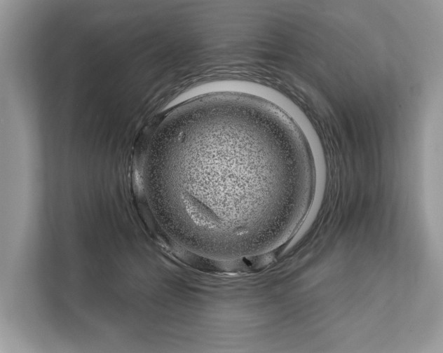 X0000111870558200907301119