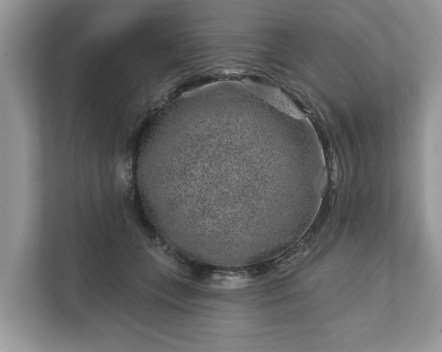 X0000111870559200907301119