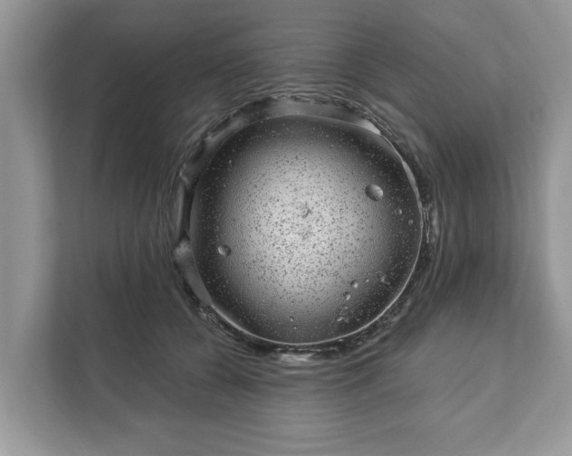 X0000111870560200907301119