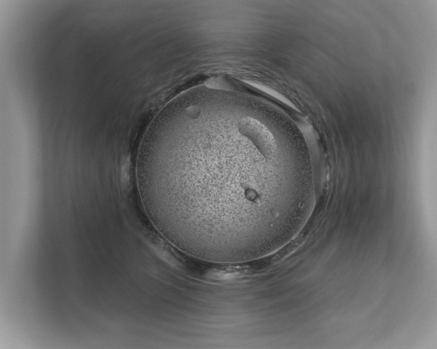 X0000111870563200907301119