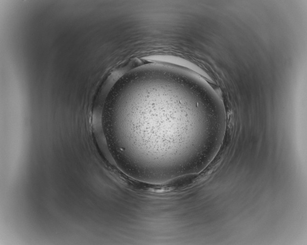 X0000111870564200907301119