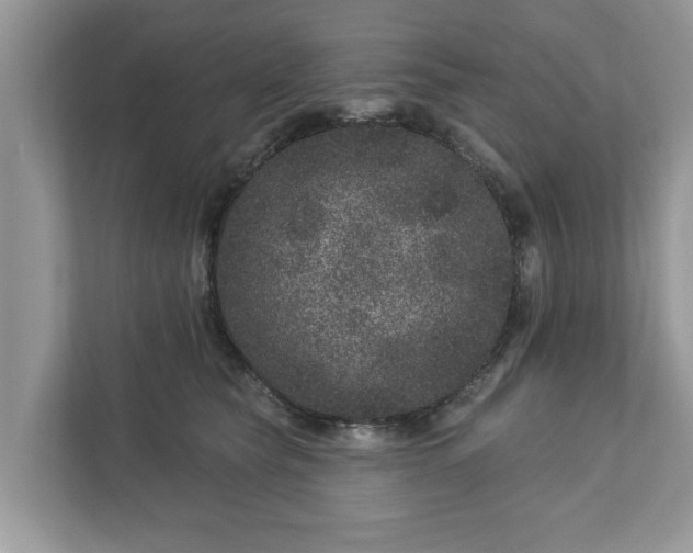 X0000111870565200907301119