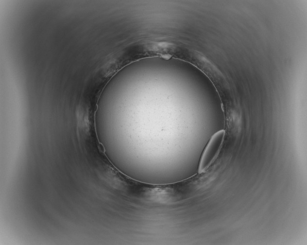 X0000111870566200907301119