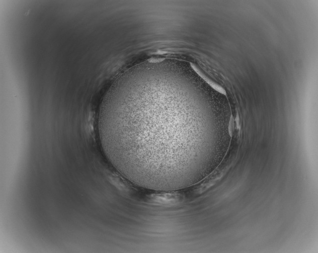 X0000111870567200907301119