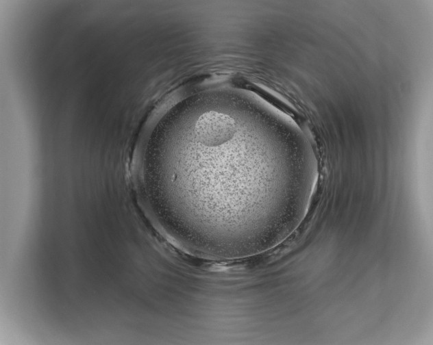 X0000111870568200907301119