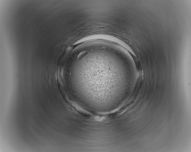 X0000111870570200907301119