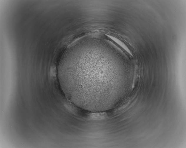 X0000111870571200907301119