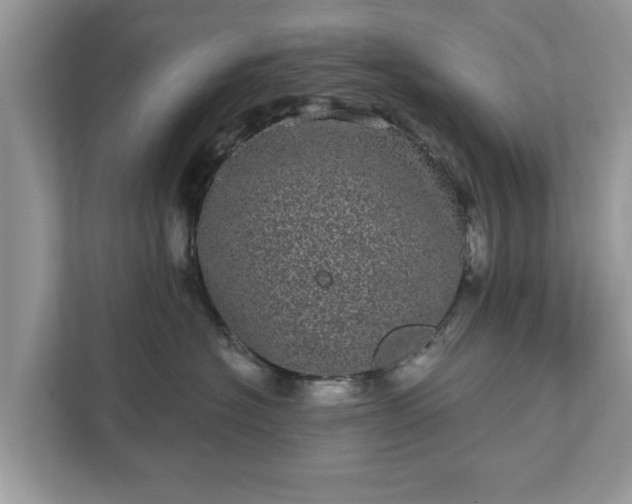 X0000111870574200907301119