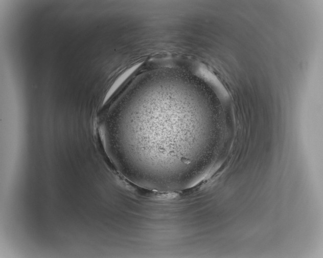 X0000111870576200907301119