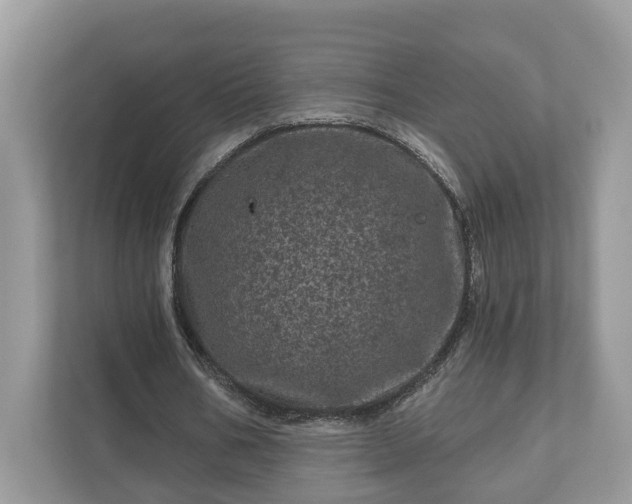 X0000111870578200907301118