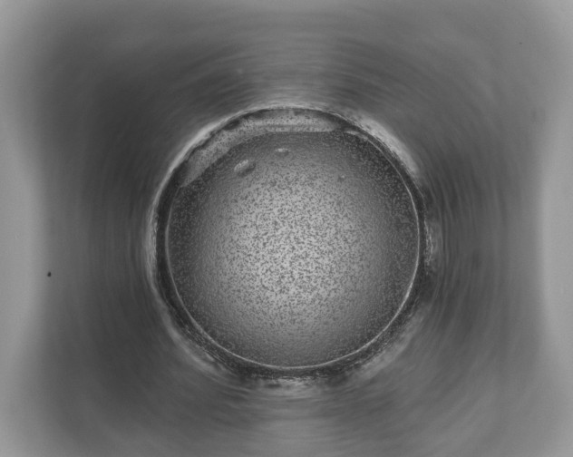 X0000111870580200907301118