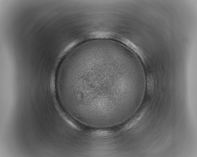 X0000111870581200907301118