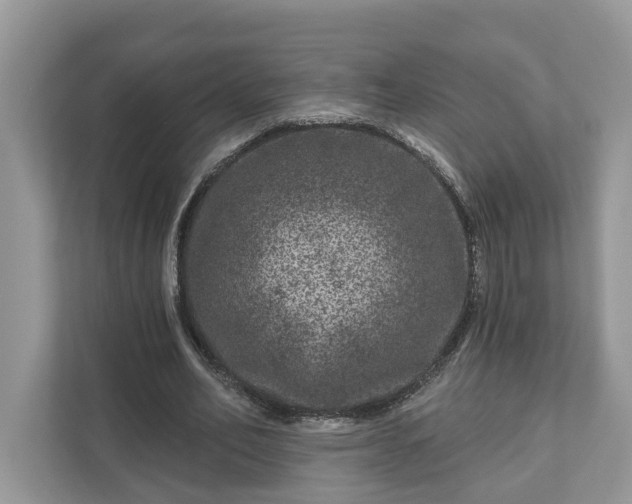 X0000111870582200907301118