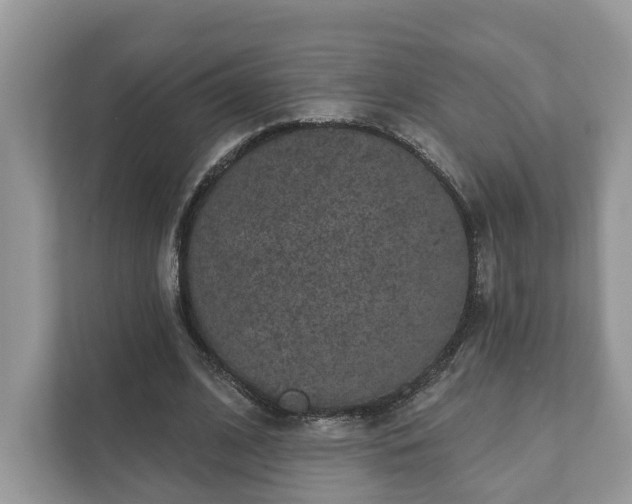 X0000111870584200907301118