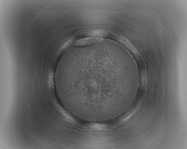 X0000111870585200907301118