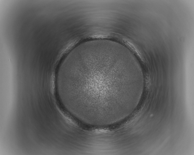 X0000111870586200907301118