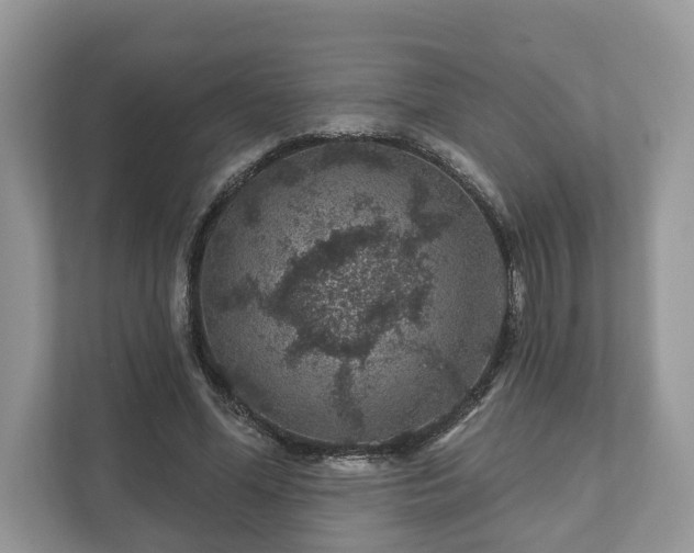 X0000111870588200907301118