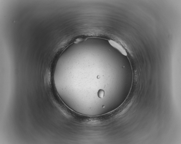 X0000111870589200907301118