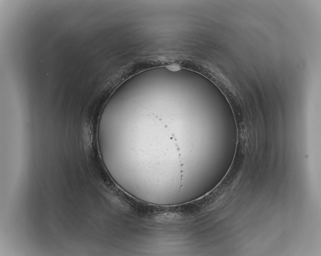 X0000111870593200907301118