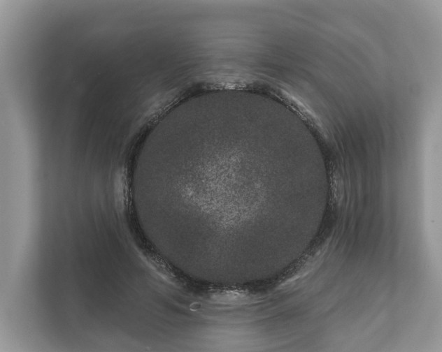 X0000111870594200907301118