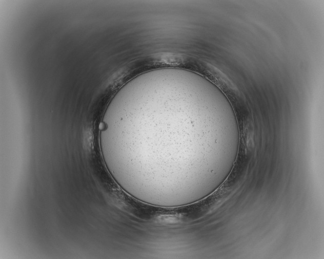 X0000111870595200907301118