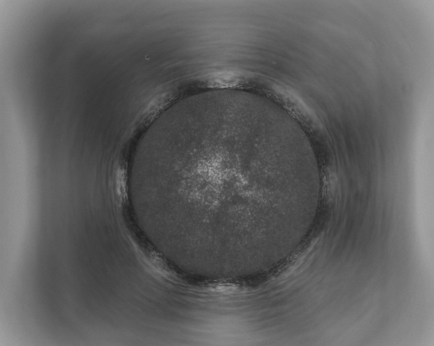 X0000111870598200907301118