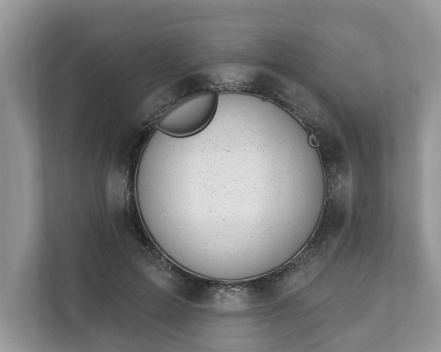 X0000111870599200907301118