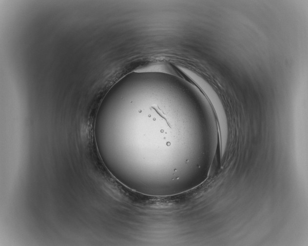 X0000111870601200907301118