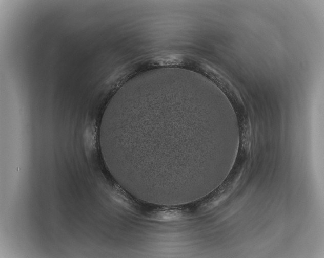 X0000111870604200907301118