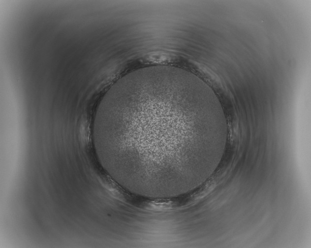 X0000111870606200907301118