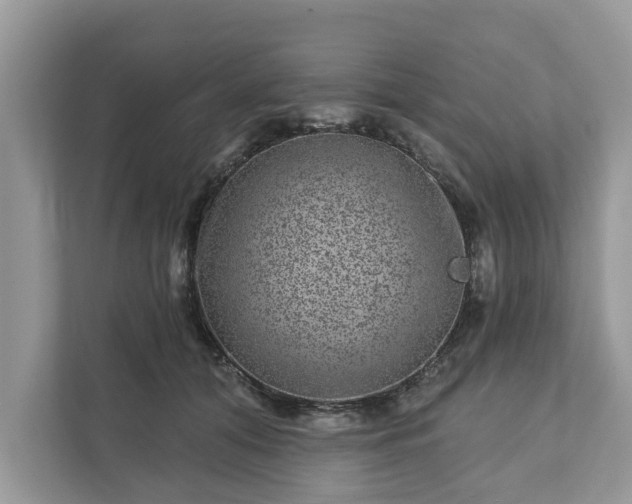 X0000111870608200907301118