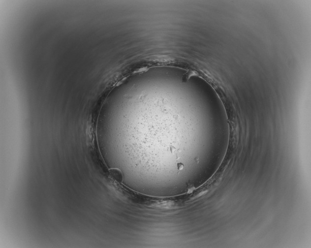 X0000111870609200907301118