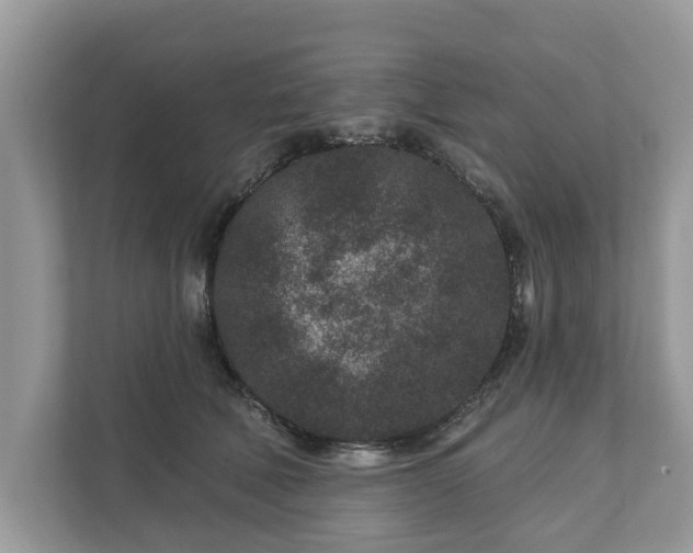 X0000111870610200907301118